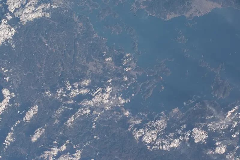 若松運河護岸の釣り場