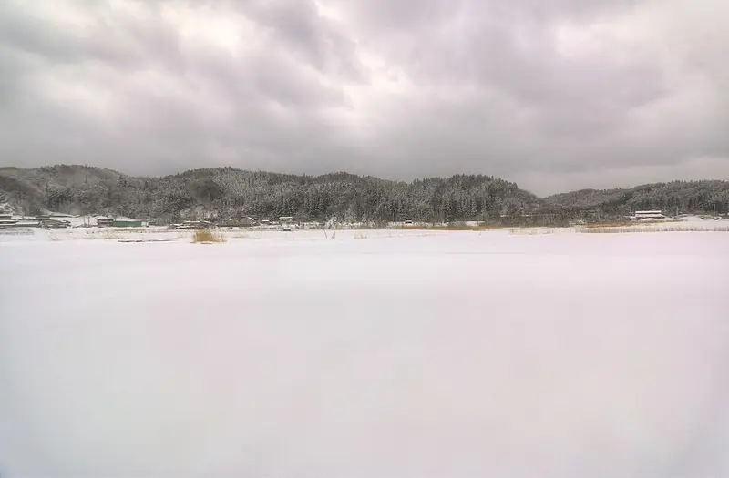 脇野沢漁港の釣り場