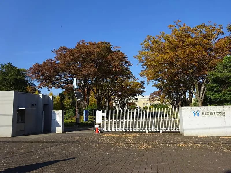 柳瀬川(清瀬・所沢)の釣り場