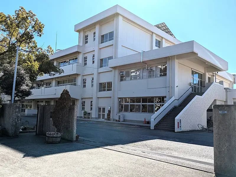 谷津干潟周辺水路(習志野市)の釣り場