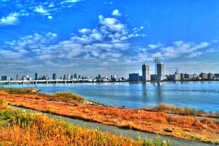 淀川河口(海老江)の釣り場