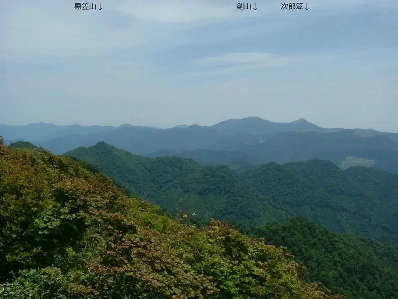 吉野川(徳島)の釣り場