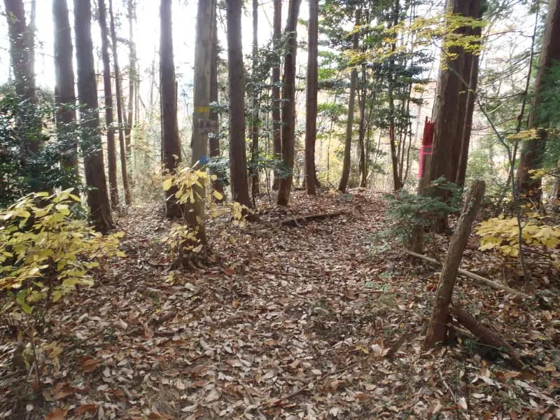 養沢毛鉤専用釣場の釣り場
