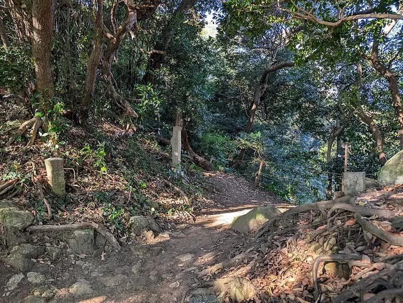由比ヶ浜の釣り場