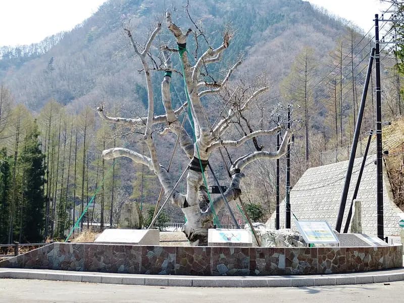 湯西川の釣り場