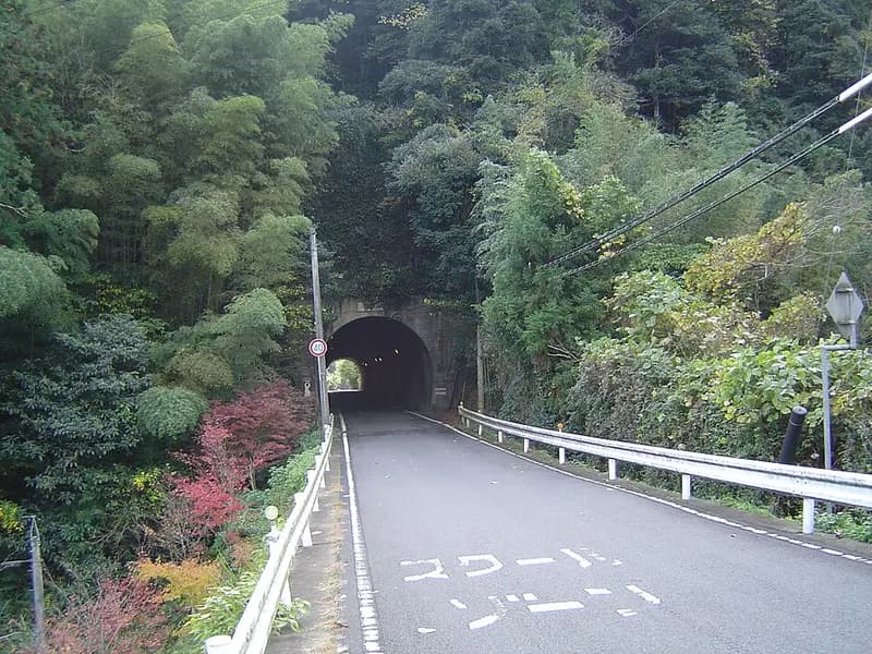 温泉津港の釣り場