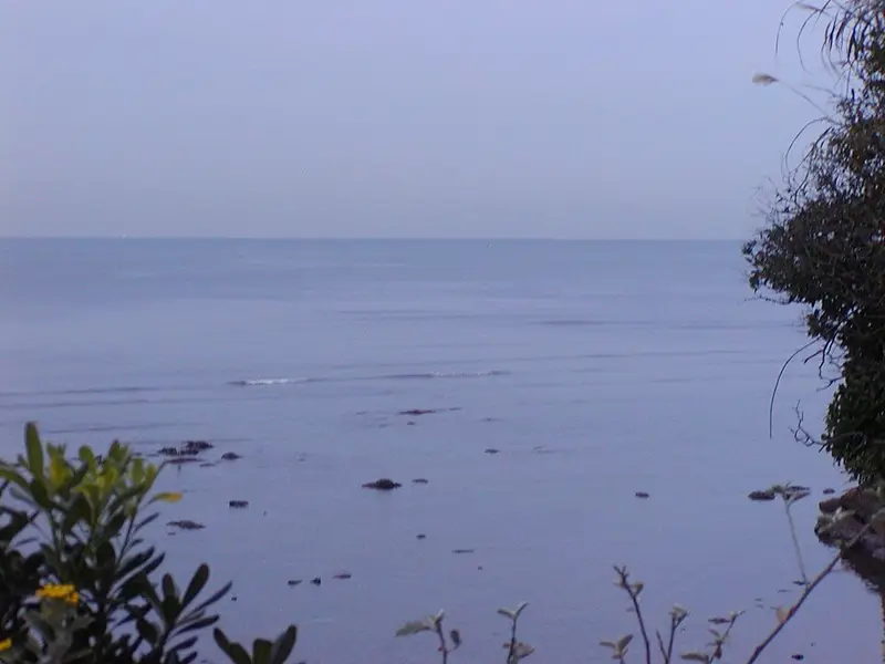 逗子マリーナ護岸の釣り場