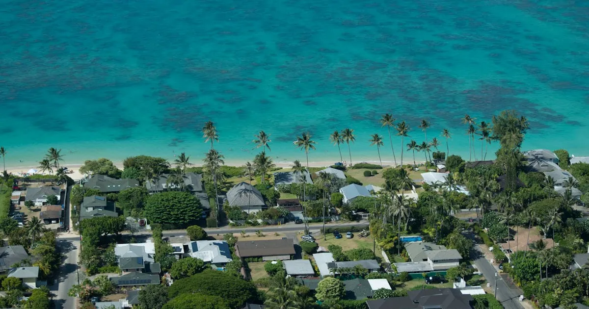 8月の真夏の海 - ターコイズブルーの海とヤシの木のある海岸