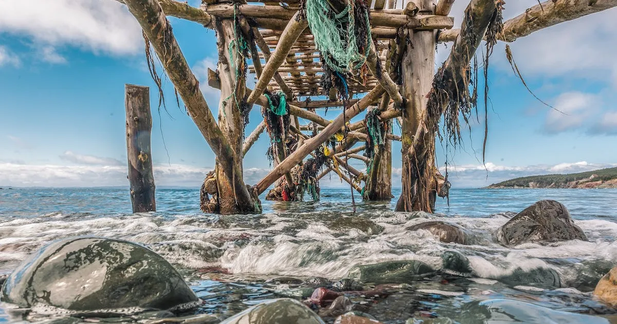 5月の五月晴れの海 - 青い海と木製の桟橋